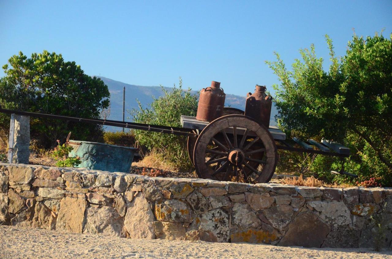 Agriturismo Costa Verde 아르버스 외부 사진