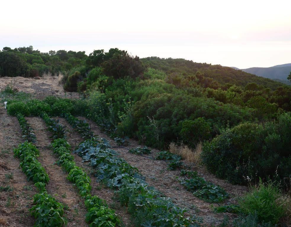 Agriturismo Costa Verde 아르버스 외부 사진