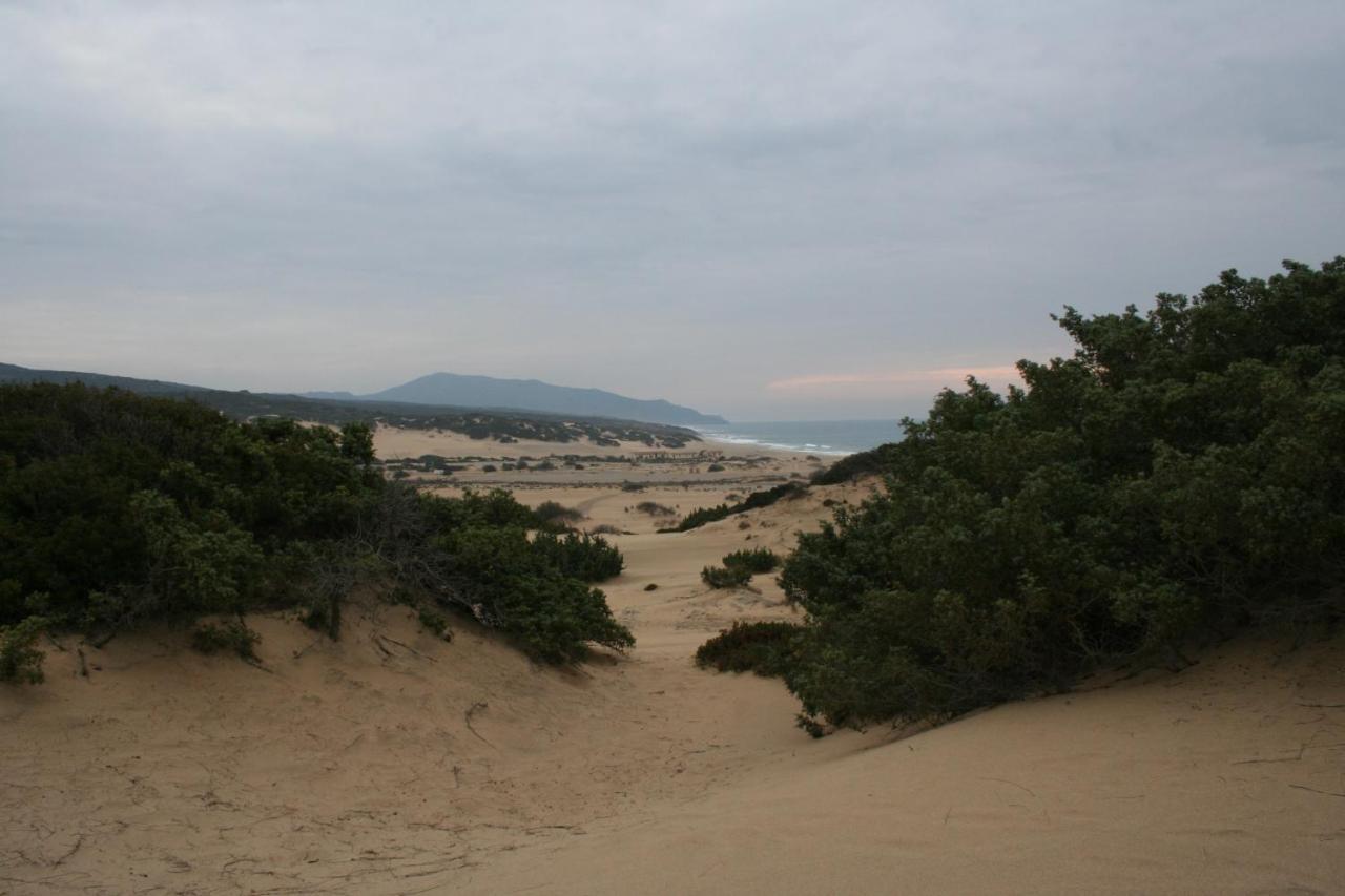 Agriturismo Costa Verde 아르버스 외부 사진